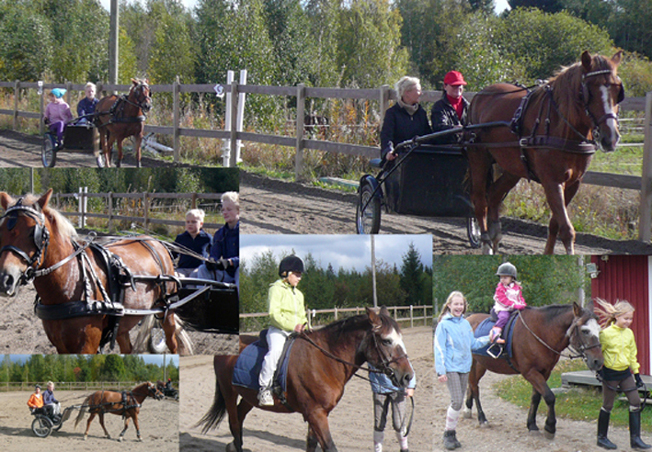 Hevonen vetää ihmisiä hevoskärryissä ja lapsia ratsastamassa hevosilla. 